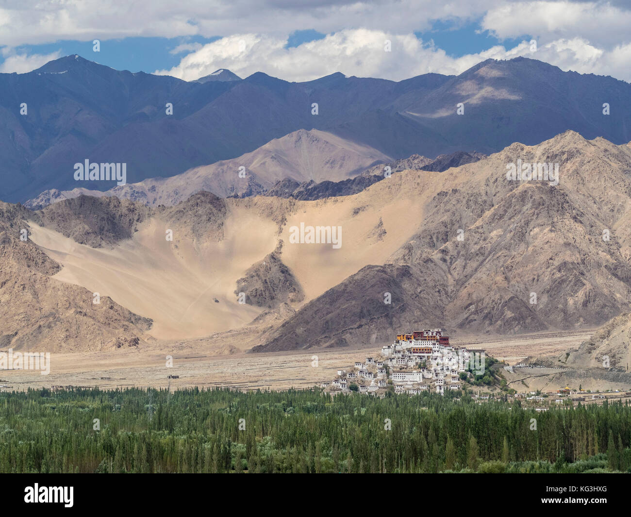 Immense monastère bouddhiste de gonpa tiksi se dresse sur une colline au milieu de la vallée de l'indus entouré de montagnes, ciel bleu avec des nuages blancs, vert t Banque D'Images