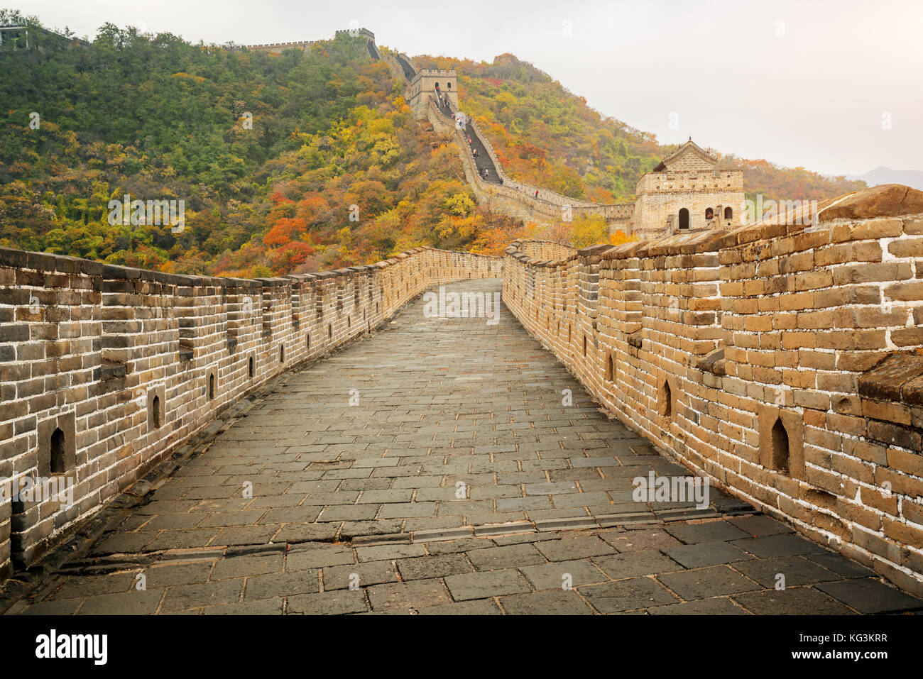 La grande muraille de chine vue lointaine tours comprimé et segments de mur saison d'automne dans les montagnes près de Beijing chine ancienne militaire l'enrichissement Banque D'Images