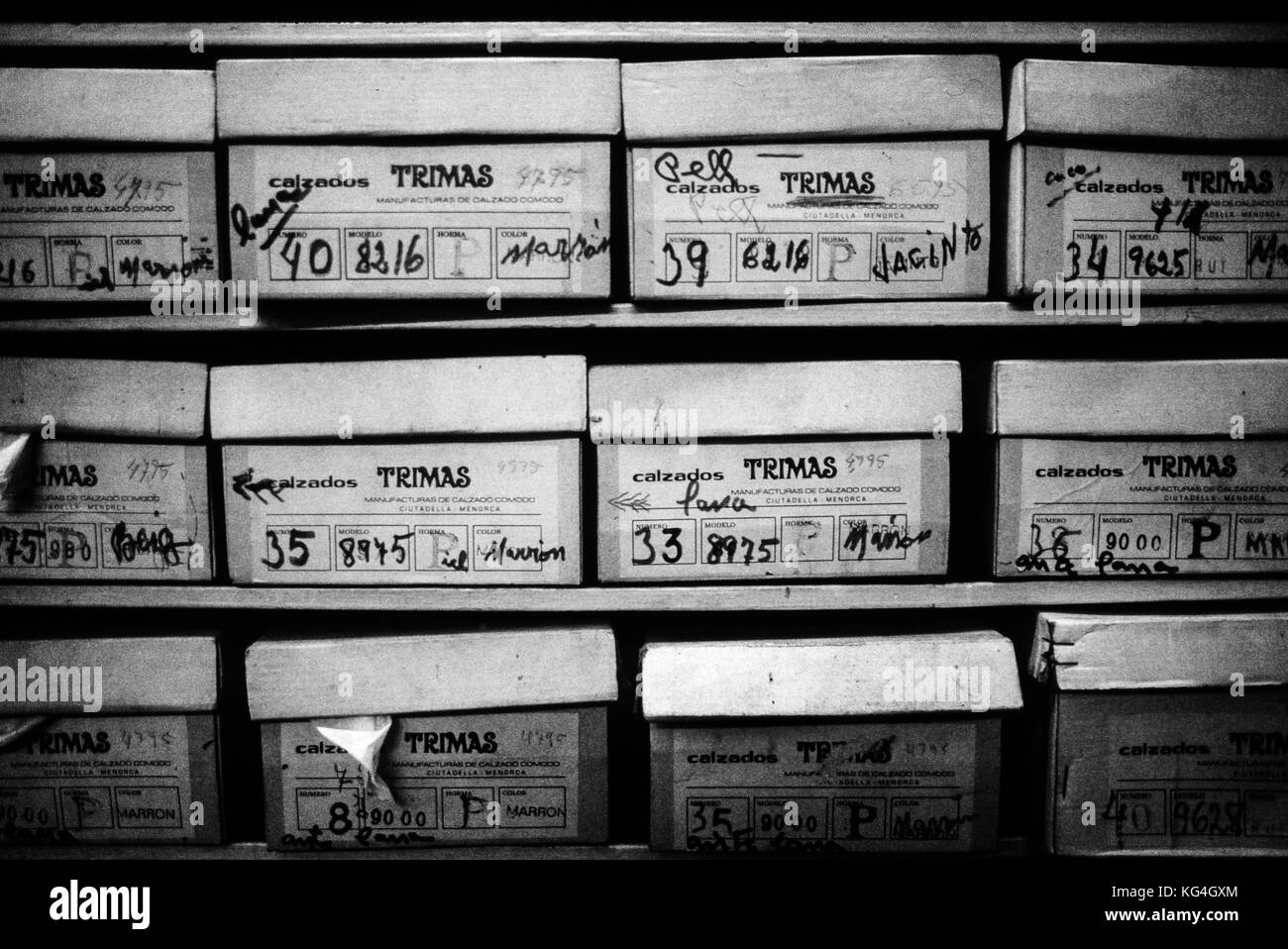 Les boîtes à chaussures sont sur les étagères de la boutique de chaussures éteinte Calçats Mila dans la rue Carme de Barcelone, Espagne. Date: 02/2003. Photo: Xabier Mikel Laburu. La chaussure Calçats Mila est documentée avec un autre nom en 1846. Au début du XX siècle, le magasin est vendu à la famille Mila qui s'en occupe jusqu'à la mort de Roser, le dernier propriétaire après son frère Joan qui aurait le dur travail de fermer le magasin en 2003. Banque D'Images