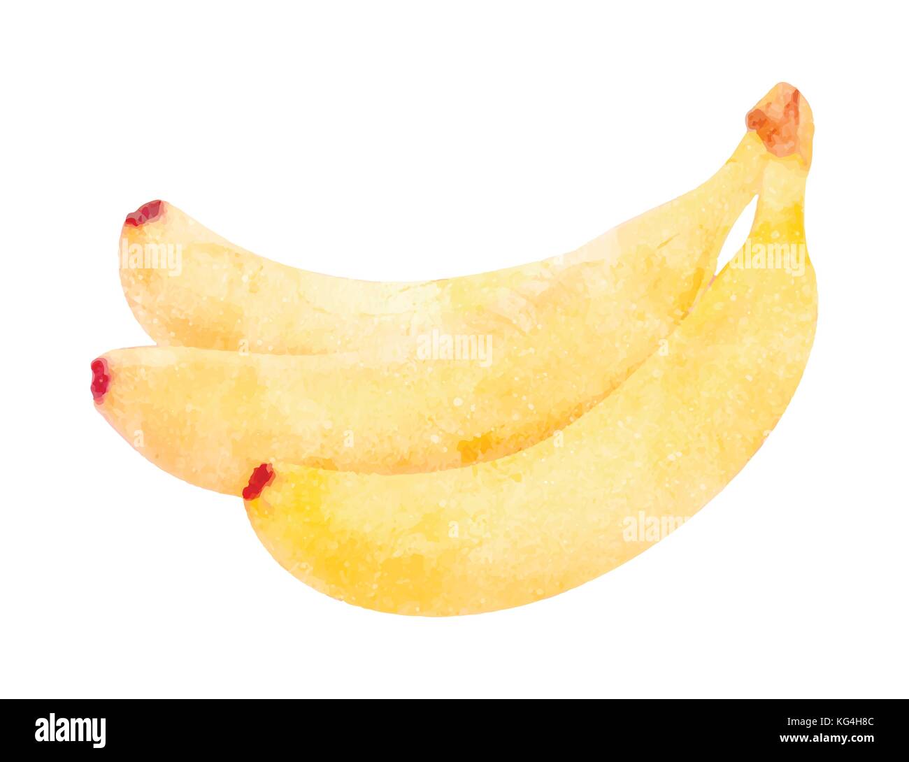 Fruit de la banane à l'aquarelle sur fond blanc Illustration de Vecteur