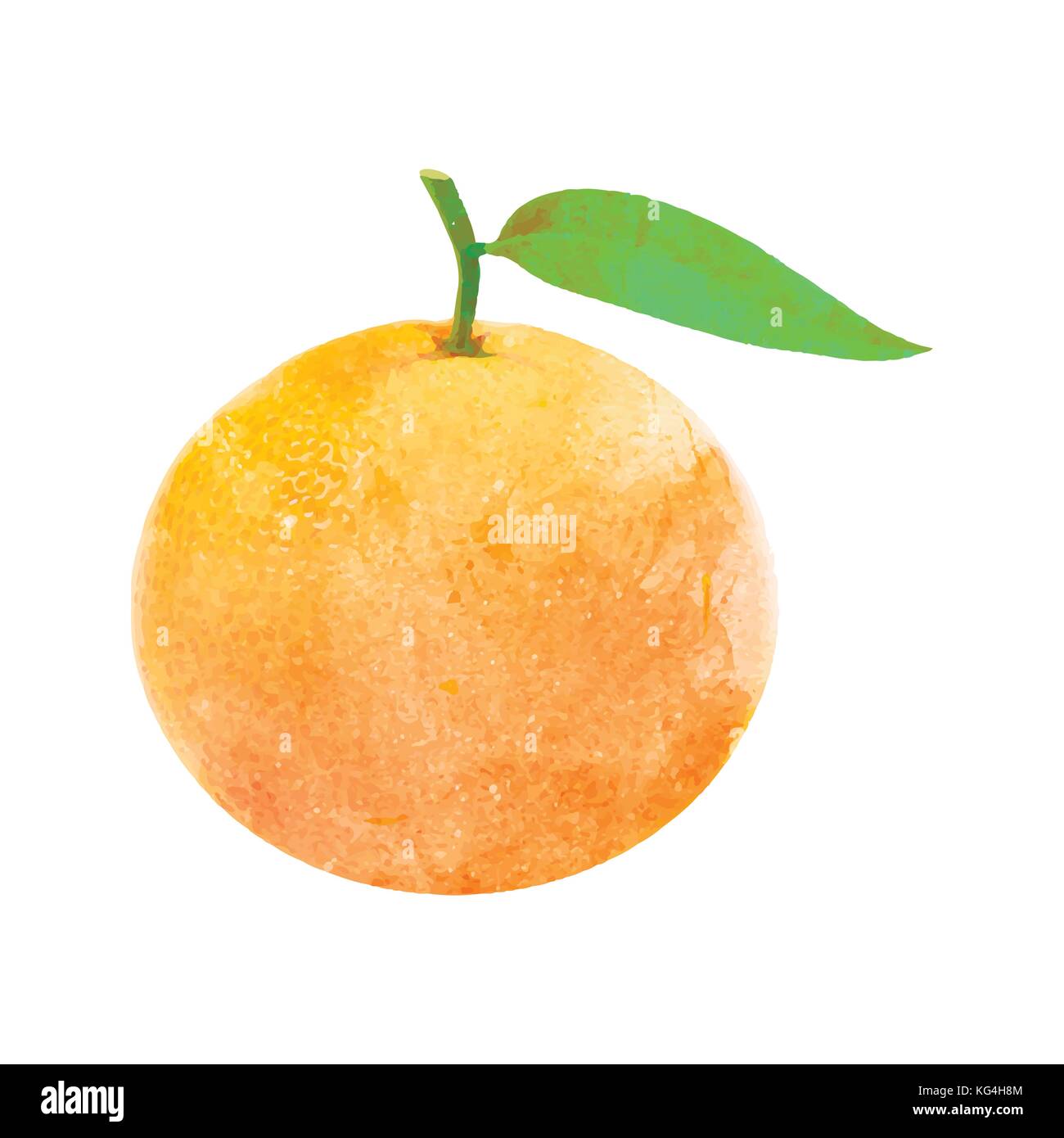 Mandarin aquarelle fruit avec feuille sur white Illustration de Vecteur