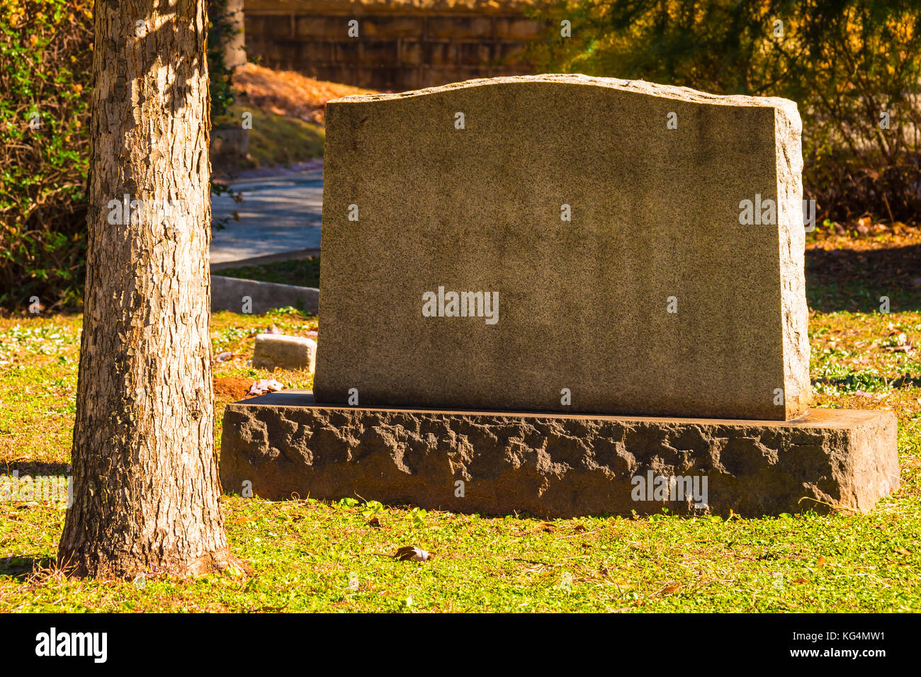 La pierre tombale et le tronc de l'arbre de pin libre sur le cimetière d'Oakland dans la journée d'automne ensoleillée, Atlanta, États-Unis Banque D'Images