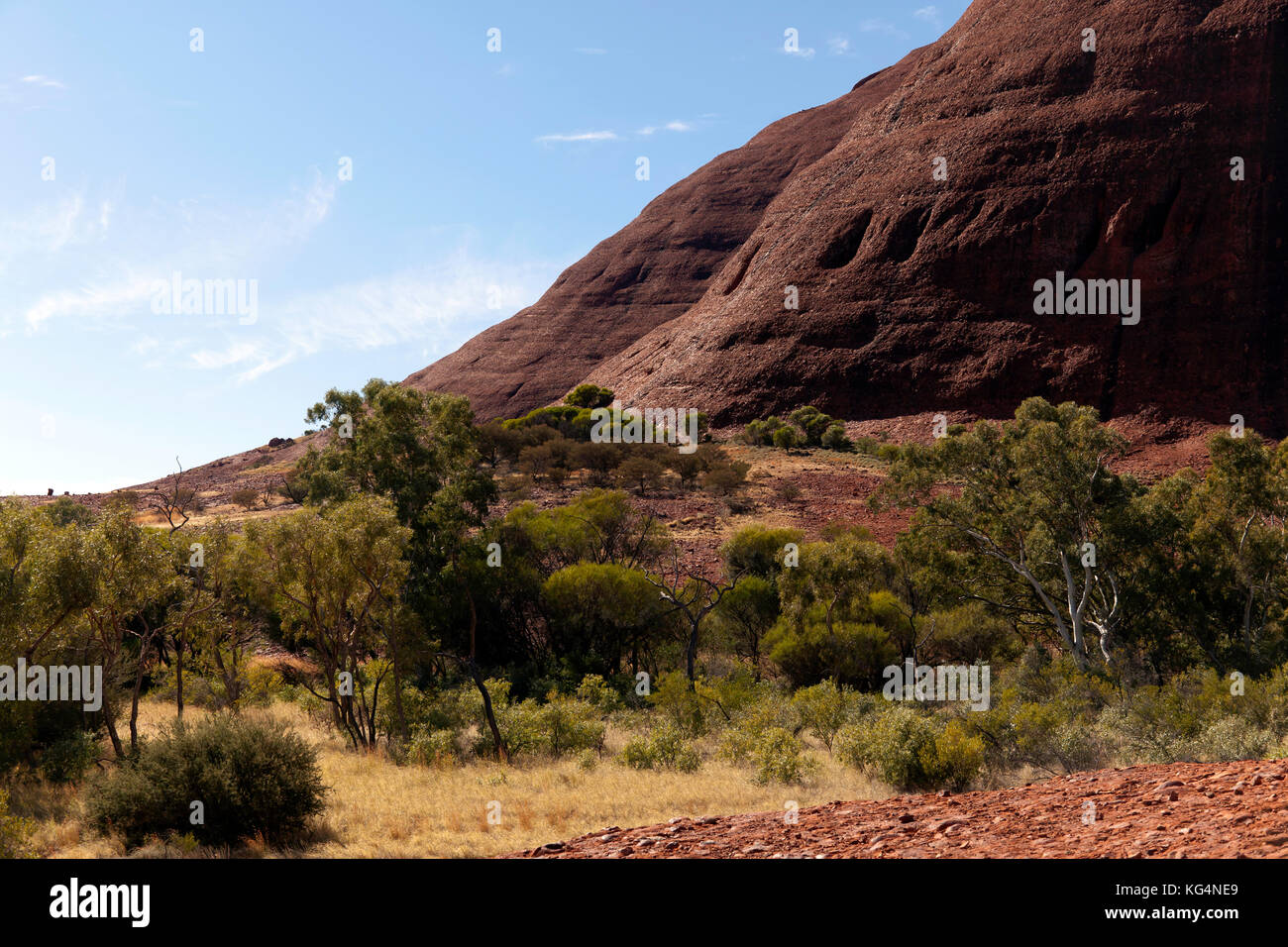 Vue rapprochée de Kata Tjuṯa, un groupe de grandes formations rocheuses en forme de dôme dans le parc national Uluṟu-Kata Tjuṯa, territoire du Nord, Australie Banque D'Images