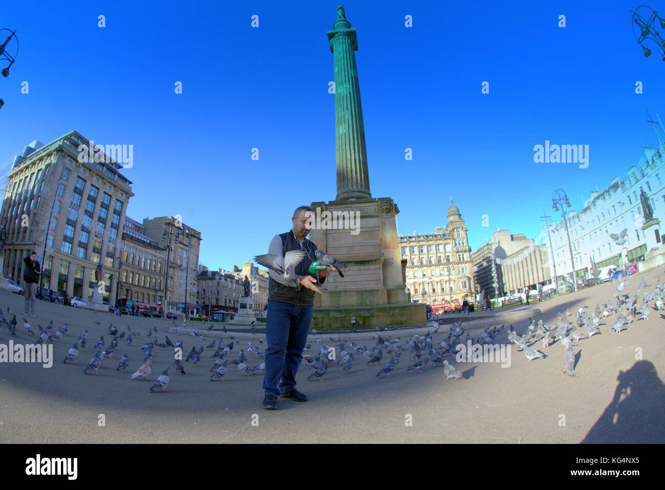 Les pigeons nourris par un étranger à george square Glasgow Banque D'Images