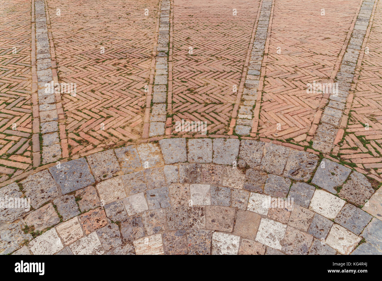 Piazza del Campo est le principal espace public du centre historique de Sienne, toscane, italie Banque D'Images