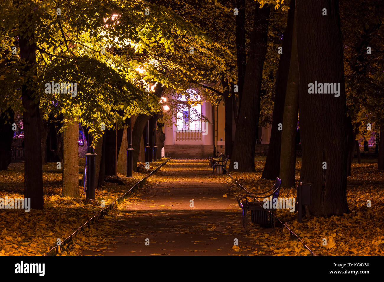 Vue de nuit automne Allée illuminée avec des bancs de jardin mikhailovskiy, Saint Petersburg, Russie Banque D'Images