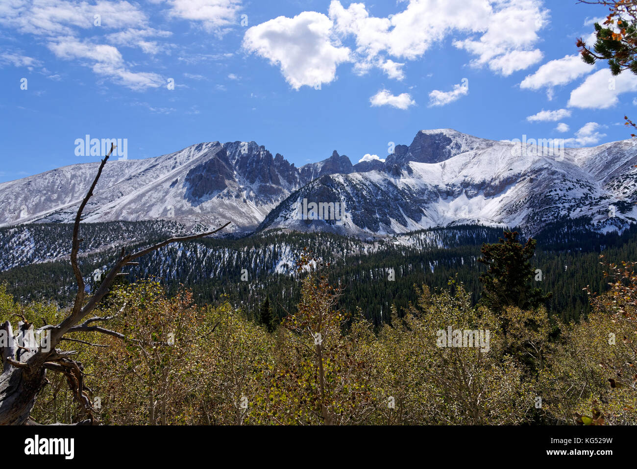 Wheeler peak dans le parc national du Grand Bassin, baker, nevada Banque D'Images