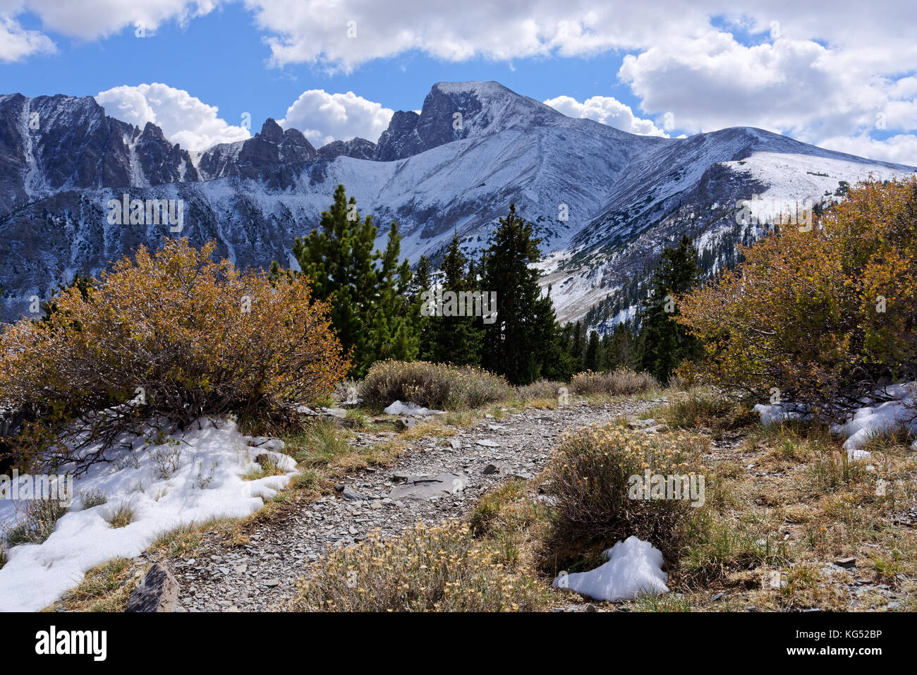 Vue depuis le sentier de crête Wheeler dans le parc national du Grand Bassin, baker, nevada Banque D'Images