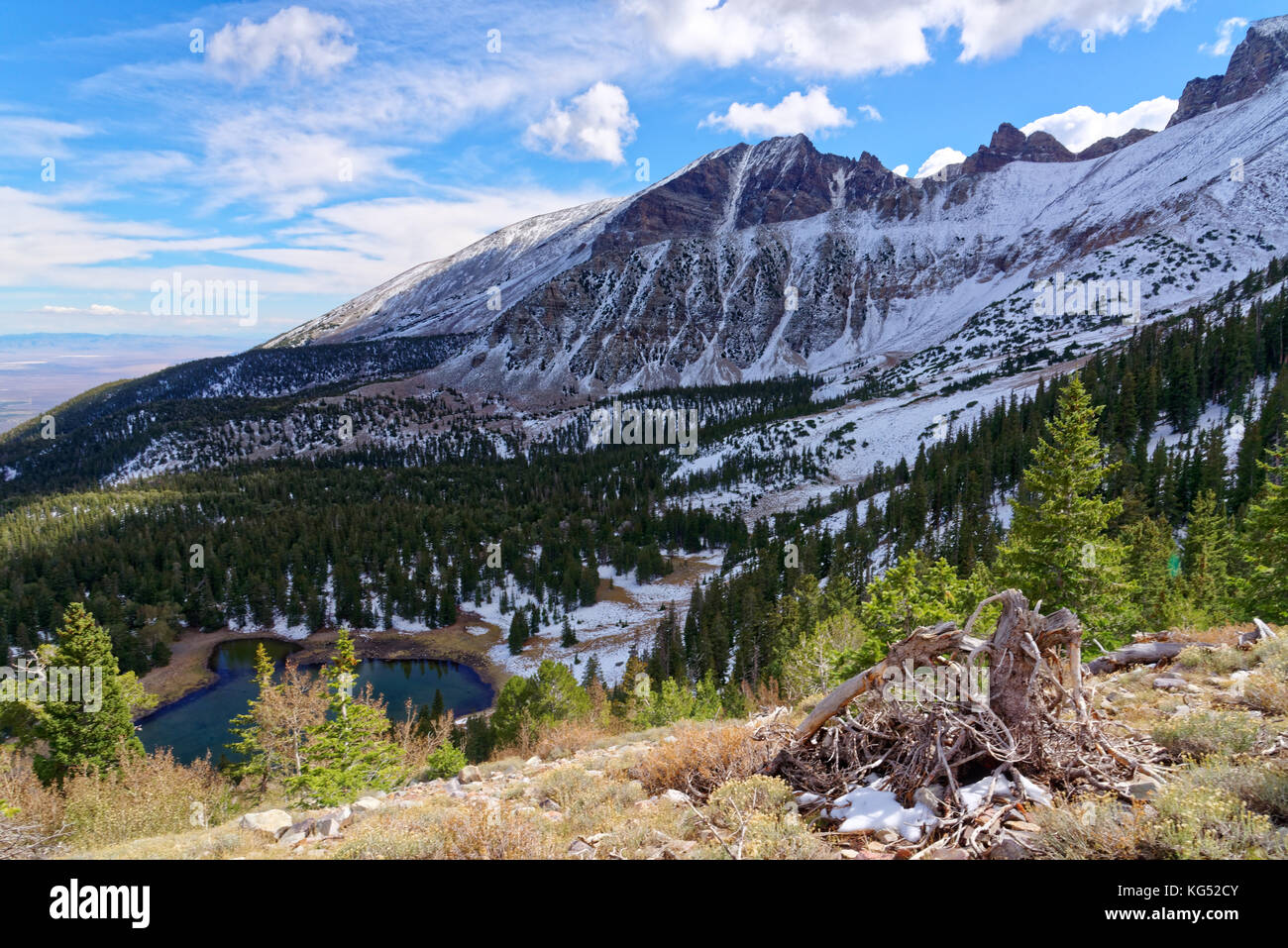 Vue depuis le sentier de crête Wheeler dans le parc national du Grand Bassin, baker, nevada Banque D'Images