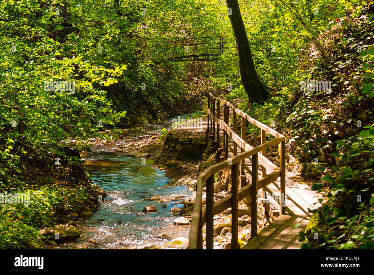 Wooden path et Creek dans le parc berendeyevo tsarstvo en journée ensoleillée, Sochi, Russie Banque D'Images