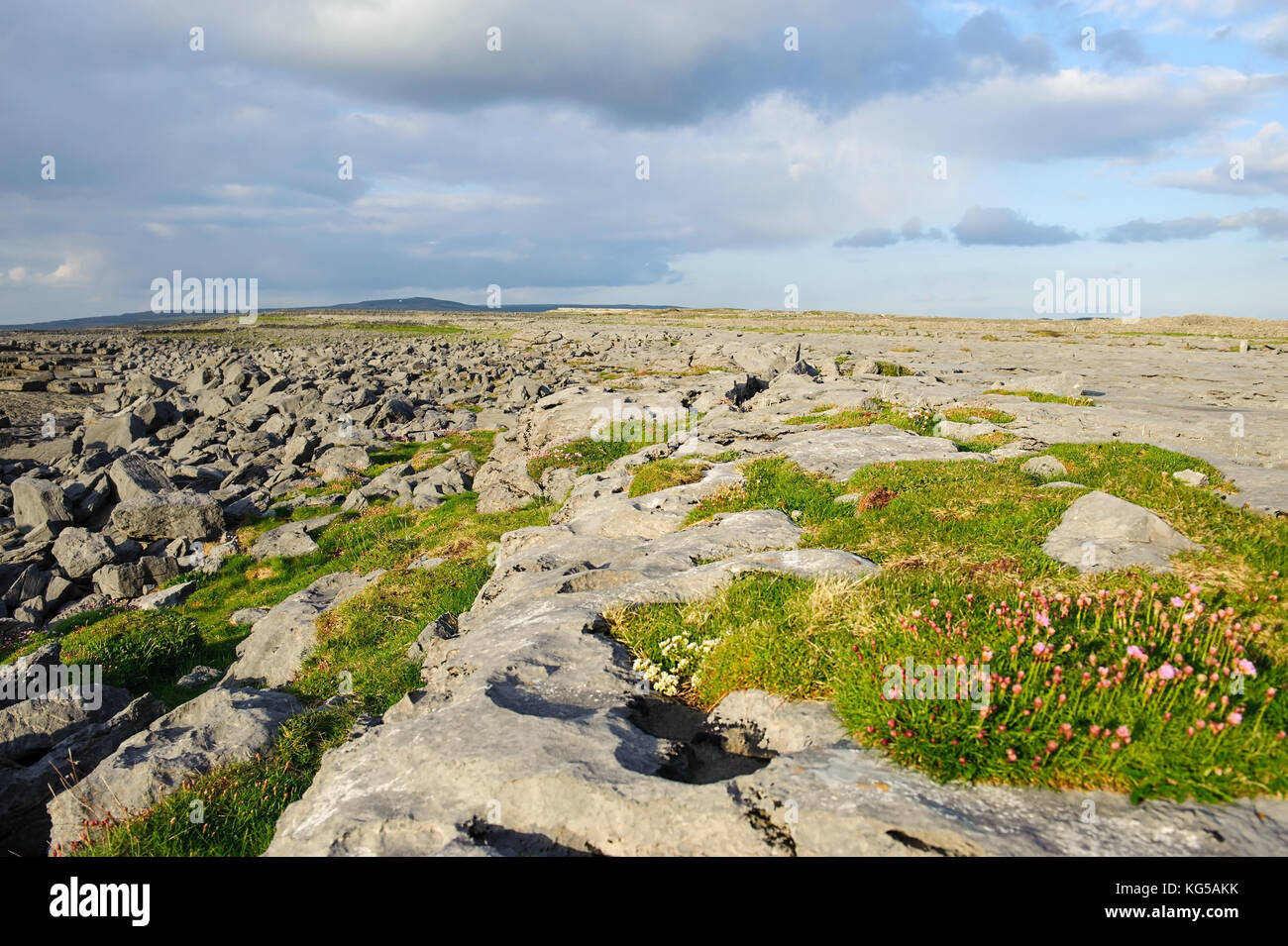 Lapiez à Burren , Comté de Clare, Irlande Banque D'Images