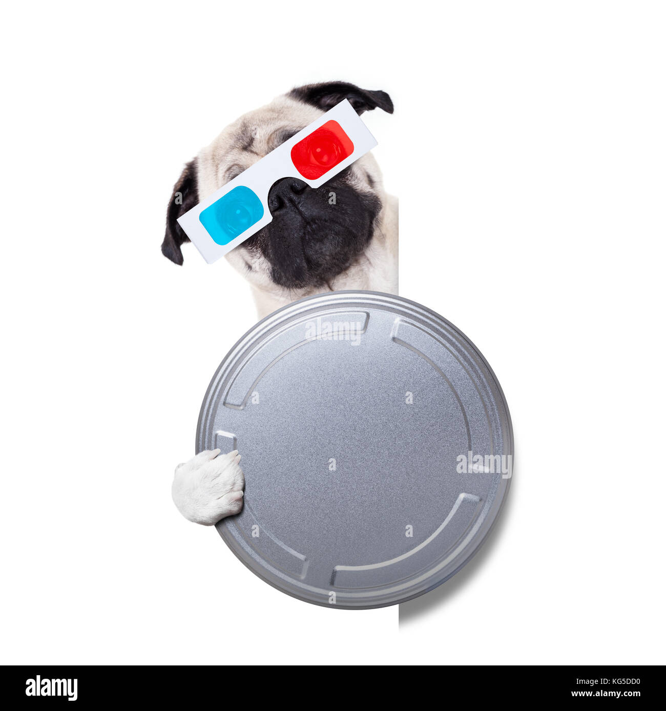 Le PUG dog à regarder un film avec des lunettes 3D et un cinéma etain rouleau, isolé sur fond blanc derrière la bannière vide vide ou la plaque Banque D'Images