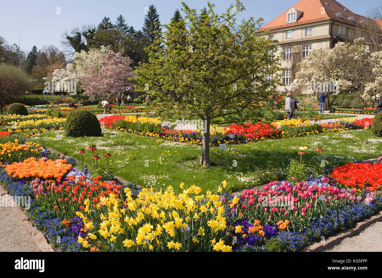 Botanischer Garten Nymphenburg Munchen Jardin Botanique Environ