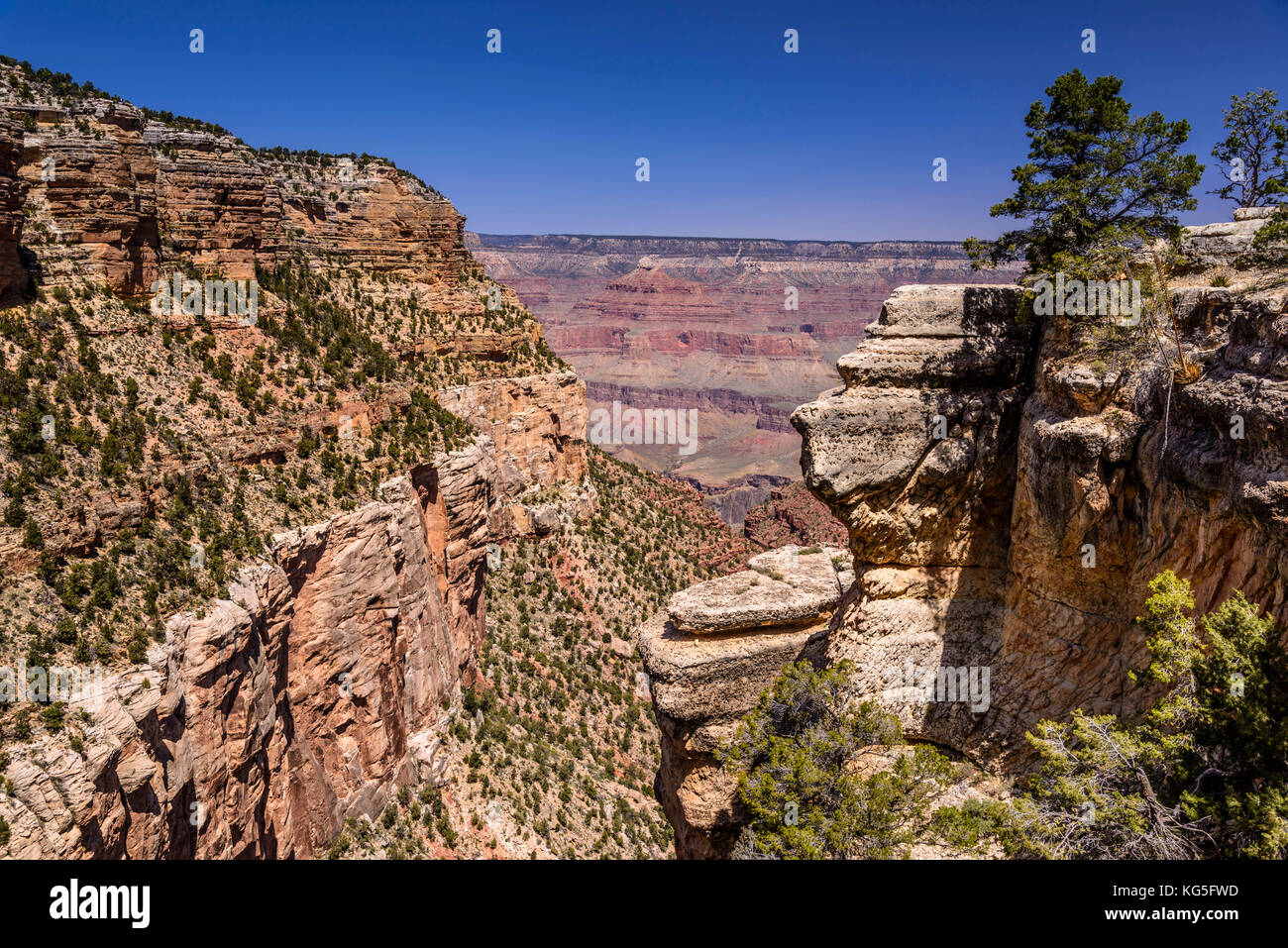 États-Unis, Arizona, parc national du Grand Canyon, plateau sud, sentier Bright Angel Banque D'Images