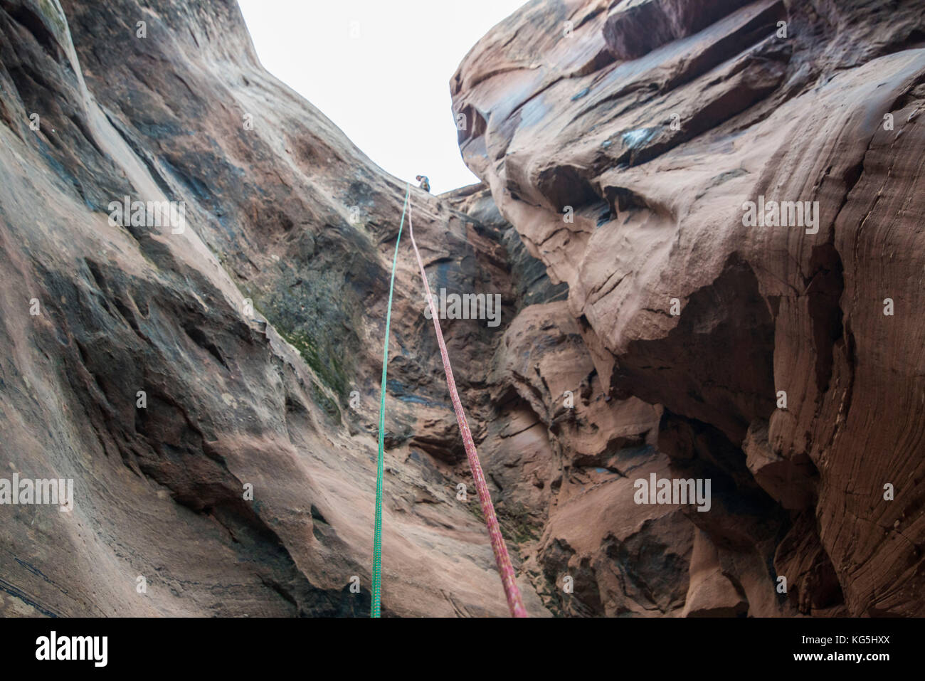 Rop pendant vers le bas dans un slot canyon pour canyonering, Moab, Utah, USA Banque D'Images