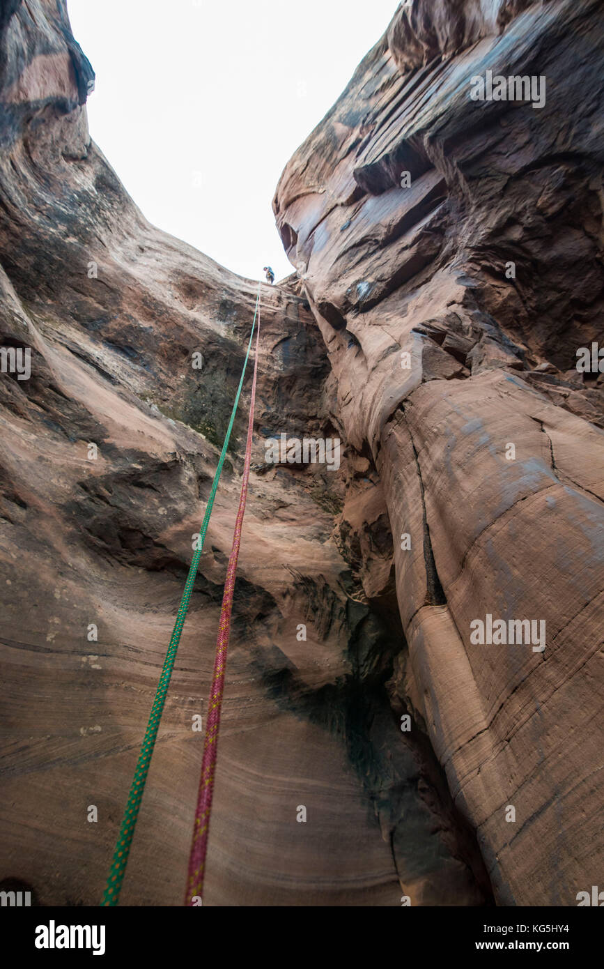 Rop pendant vers le bas dans un slot canyon pour canyonering, Moab, Utah, USA Banque D'Images