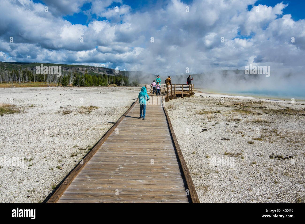 Trottoir de bois dans le bassin de sable noir, parc national de Yellowstone, Wyoming, USA Banque D'Images