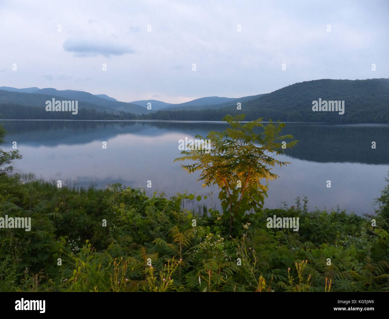 Cooper lake, ny, Ulster comté, réservoir d'eau potable de la ville de Kingston Banque D'Images