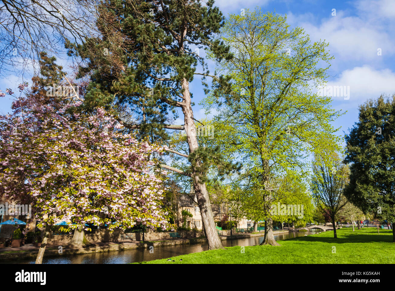L'Angleterre, Cotswolds, Gloucestershire, Bourton-on-the-Water Banque D'Images