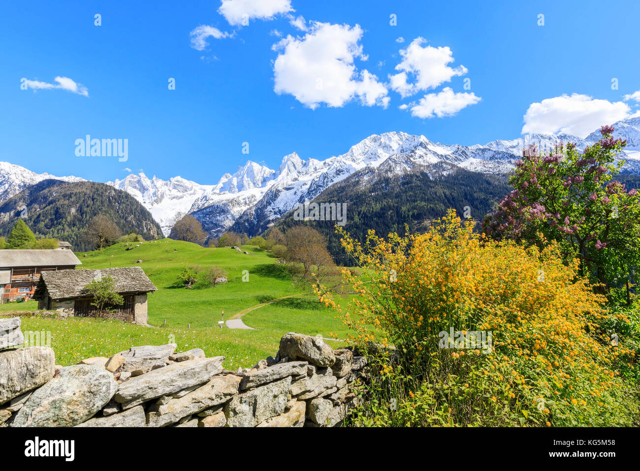 Abris dans la verte vallée encadrée par des sommets enneigés Soglio Maloja canton des Grisons Bregaglia Engadin Valley Suisse Europe Banque D'Images