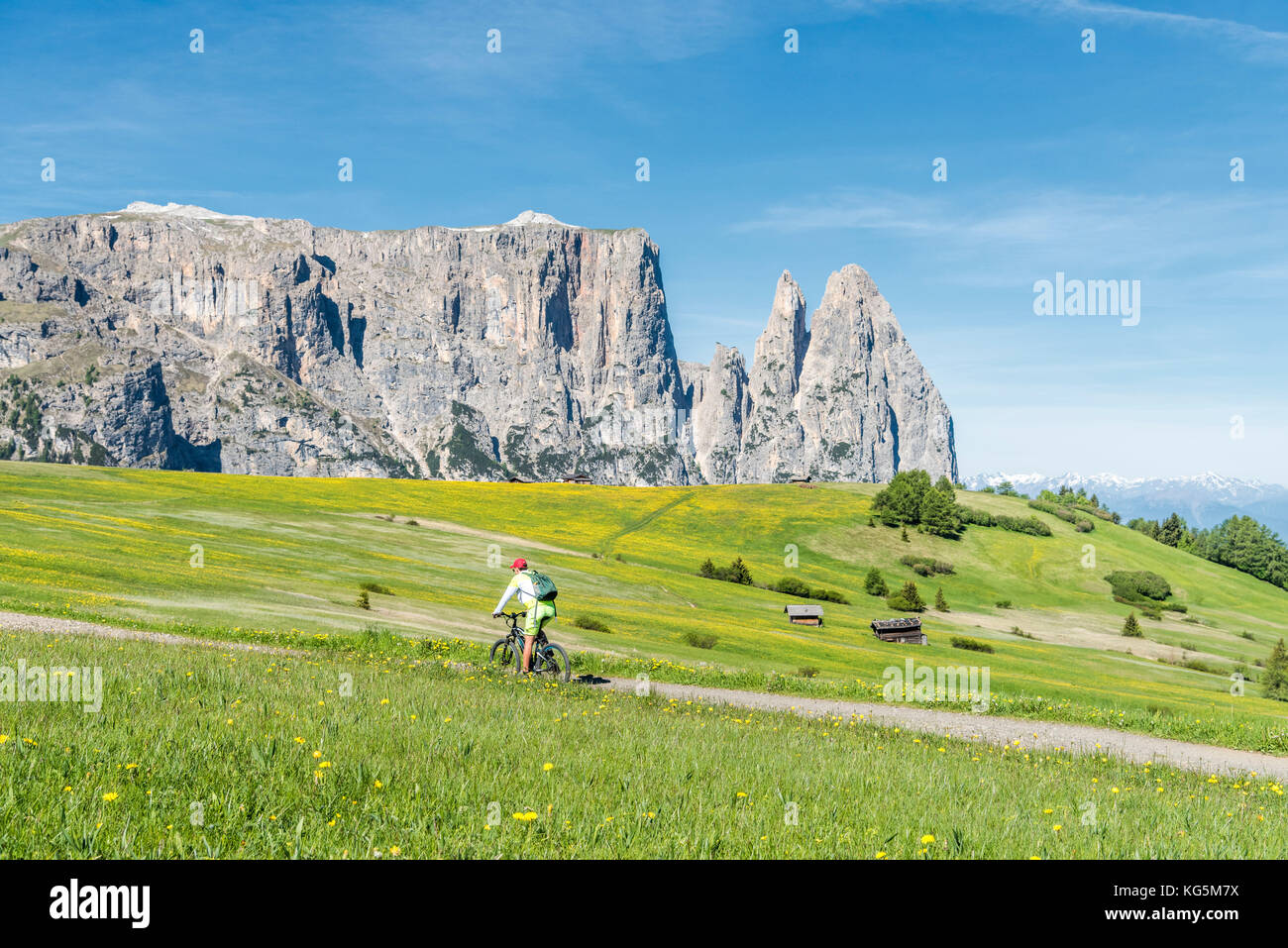 Alpe di Siusi / Seiser Alm, Dolomites, Tyrol du Sud, Italie. Un motard de montagne sur l'Alpe di Siusi Banque D'Images