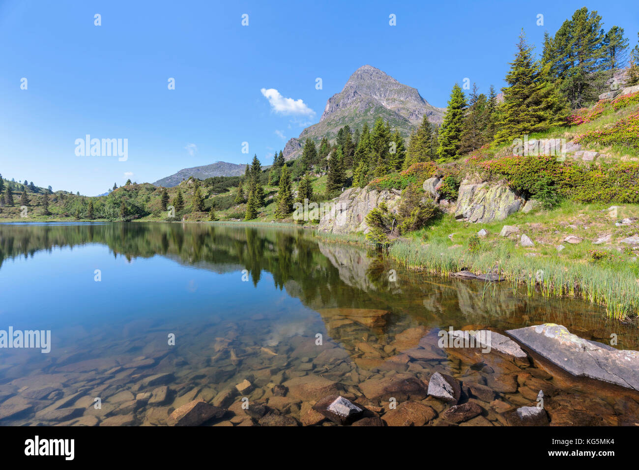 L'Europe, Italie, Trento, Trentino, chaîne du Lagorai, le colbricon lacs en été avec la montagne reflété sur l'eau Banque D'Images