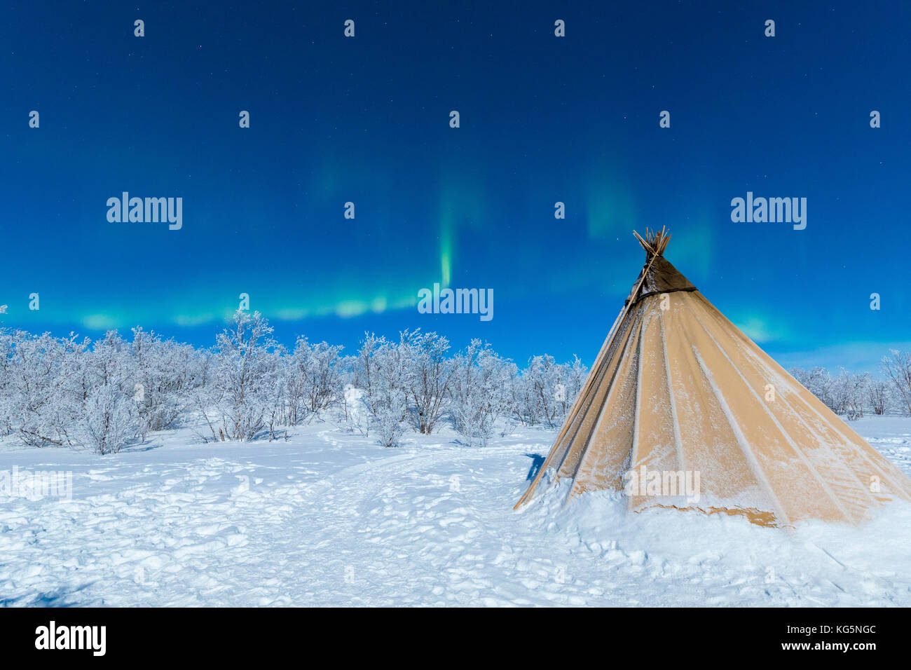 Sami isolé tente dans la neige sous les lumières du nord, abisko, municipalité du comté de Norrbotten, Kiruna, Lapland, Sweden Banque D'Images