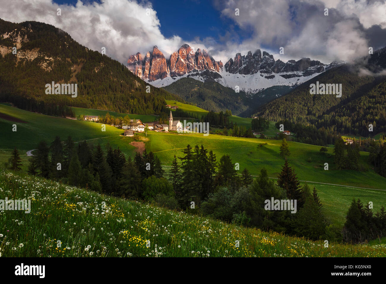 Printemps à Santa Magdalena, vallée de Funes, dolomites d'Odle, région du Tyrol du Sud, Trentin-Haut-Adige, province de Bolzano, Italie, Europe Banque D'Images