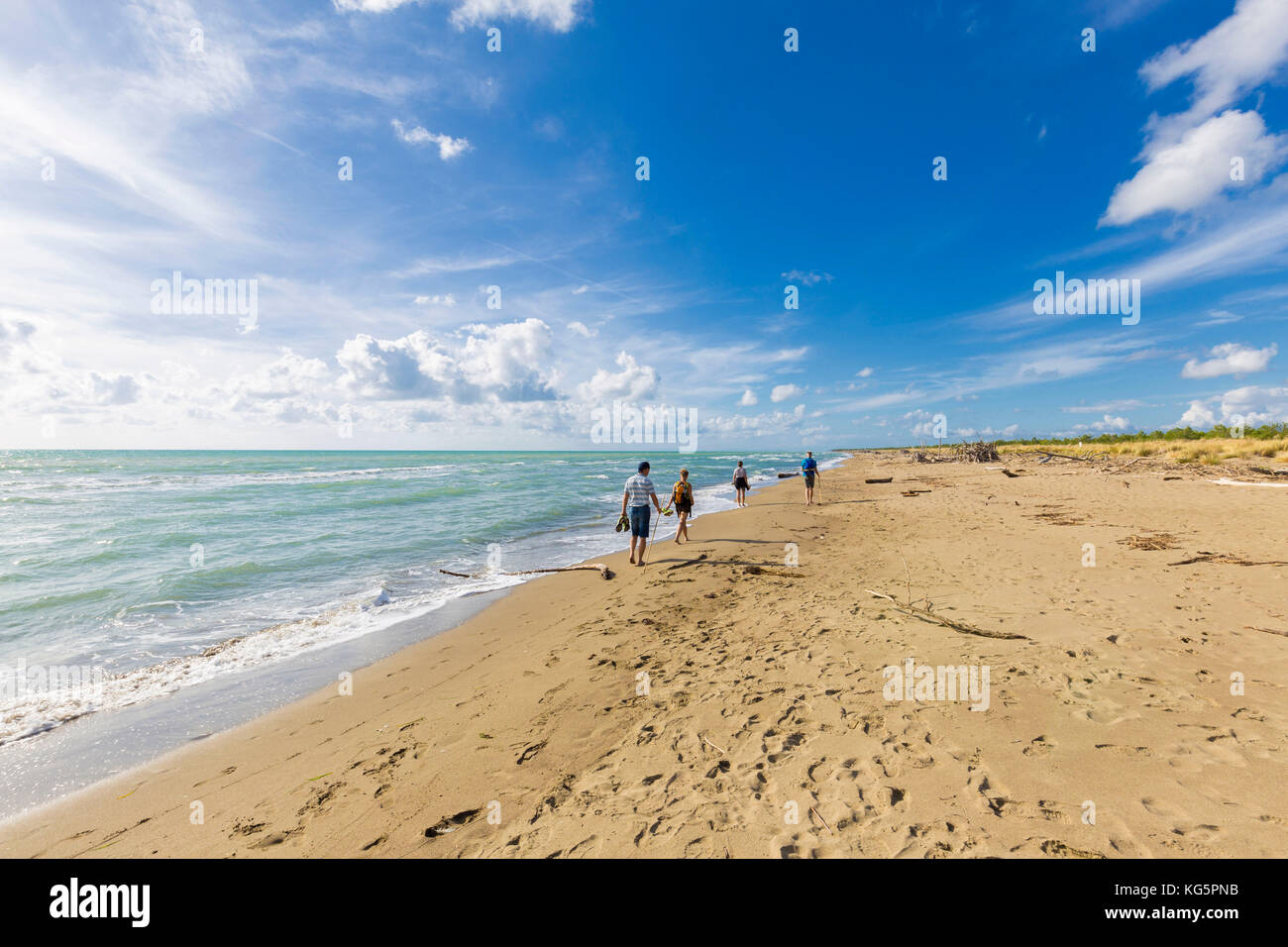 Les touristes à pied sur la plage de Marina di Alberese. Marina di Alberese Alberese, plage, parc de la maremme(Parco della Maremma), Grosseto, province de Grosseto, Toscane, Italie, Europe Banque D'Images