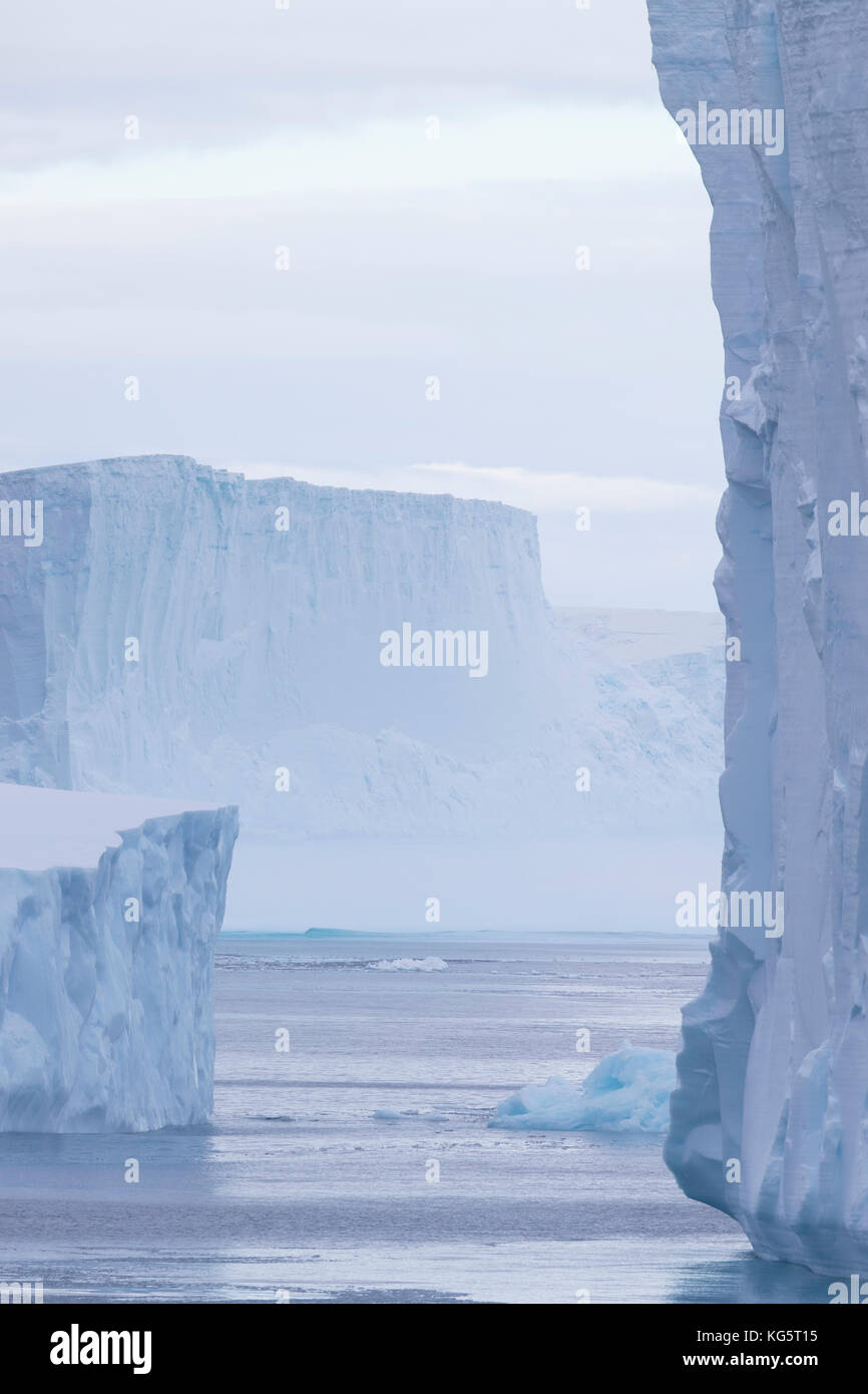 Les icebergs tabulaires, de l'Antarctique Banque D'Images