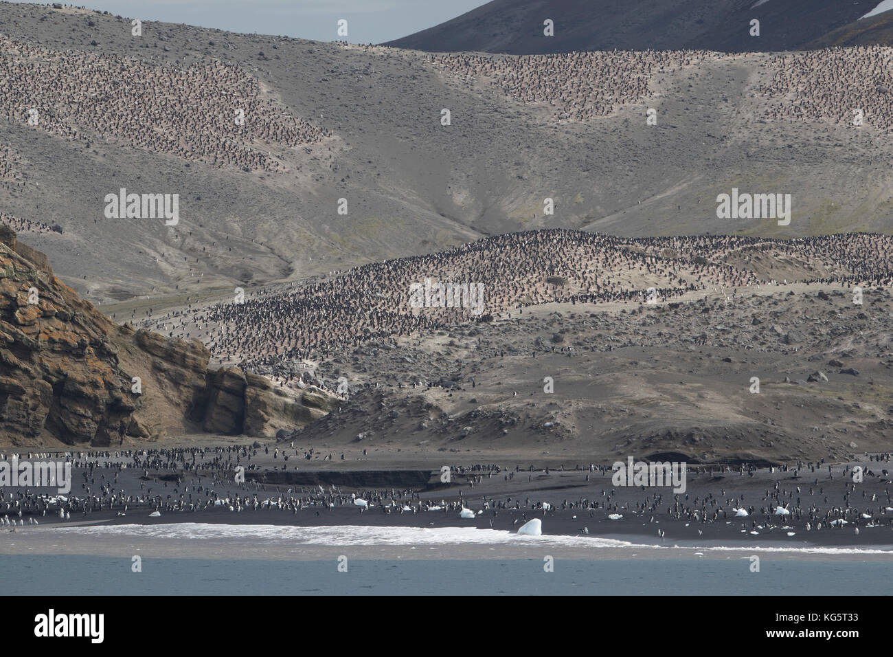 Colonie de manchots à jugulaire, Baily Head, à l'île de la déception, de l'Antarctique. Banque D'Images
