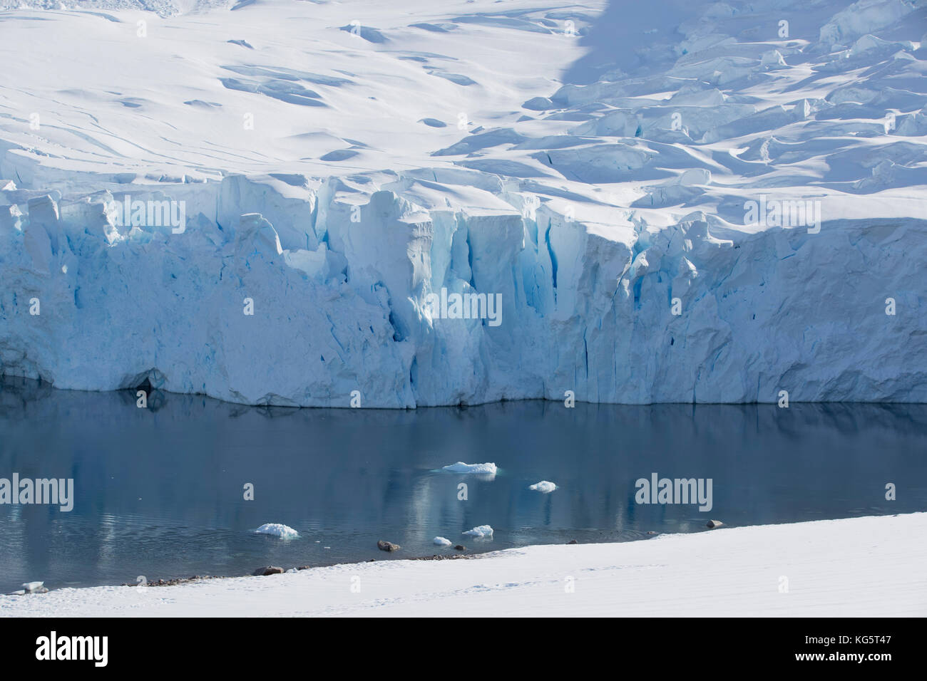 Glacier, Neko Harbour, la péninsule Antarctique Banque D'Images