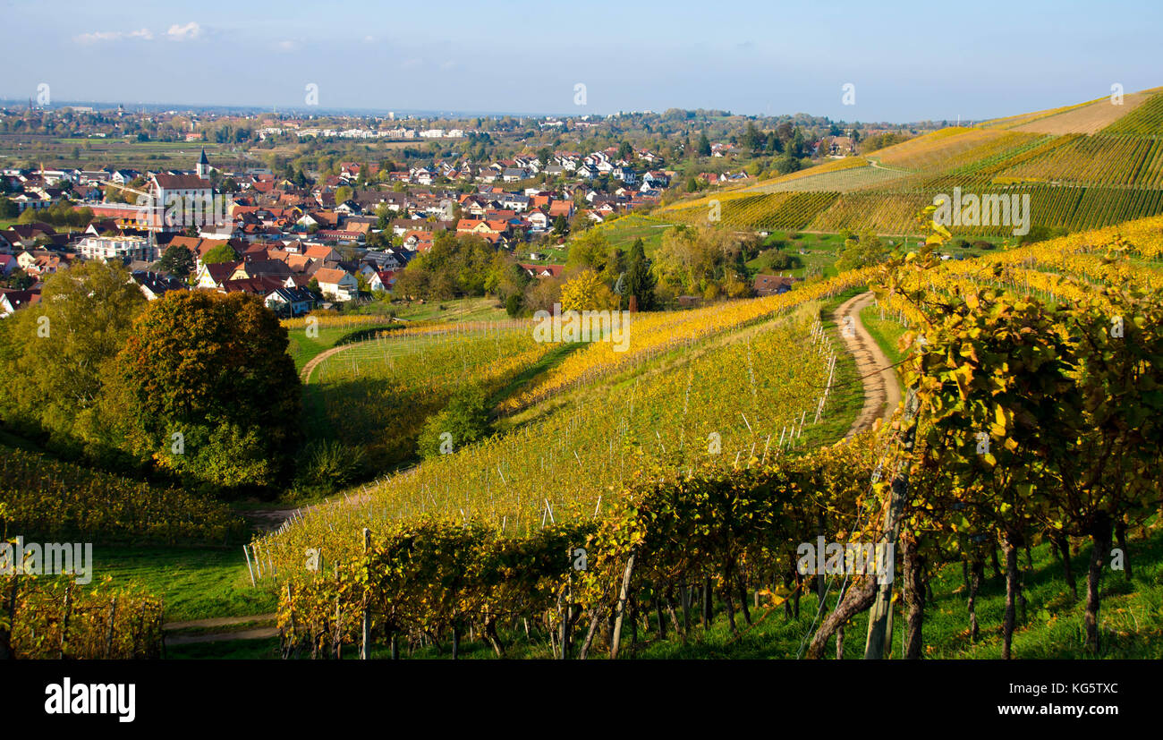 Au-dessus des vignes ortenberg au sud-ouest de l'Allemagne Banque D'Images