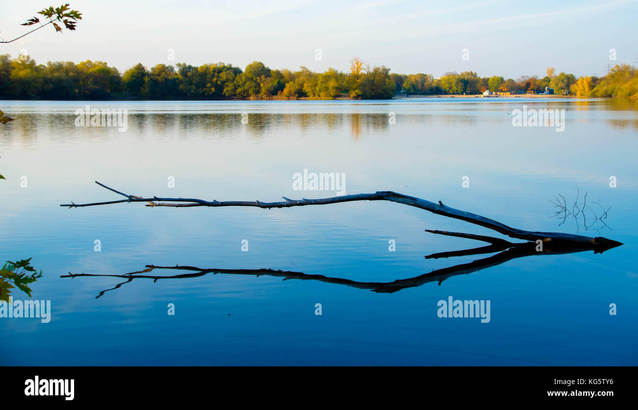 Lake gifiz à Offenburg Banque D'Images