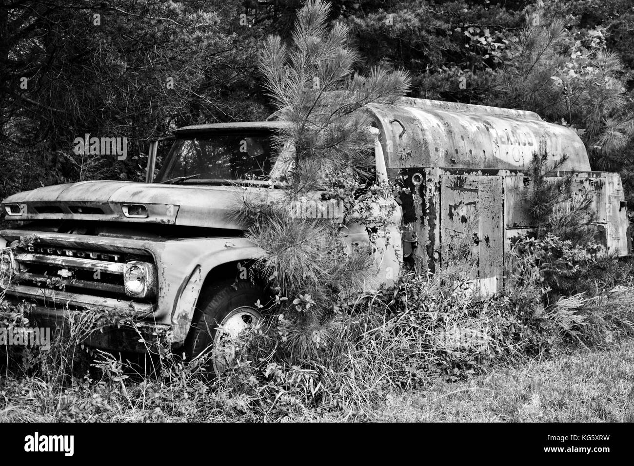 Le « Old Timer », un camion-citerne oublié depuis longtemps, est sentinelle au bord d'une forêt. Banque D'Images