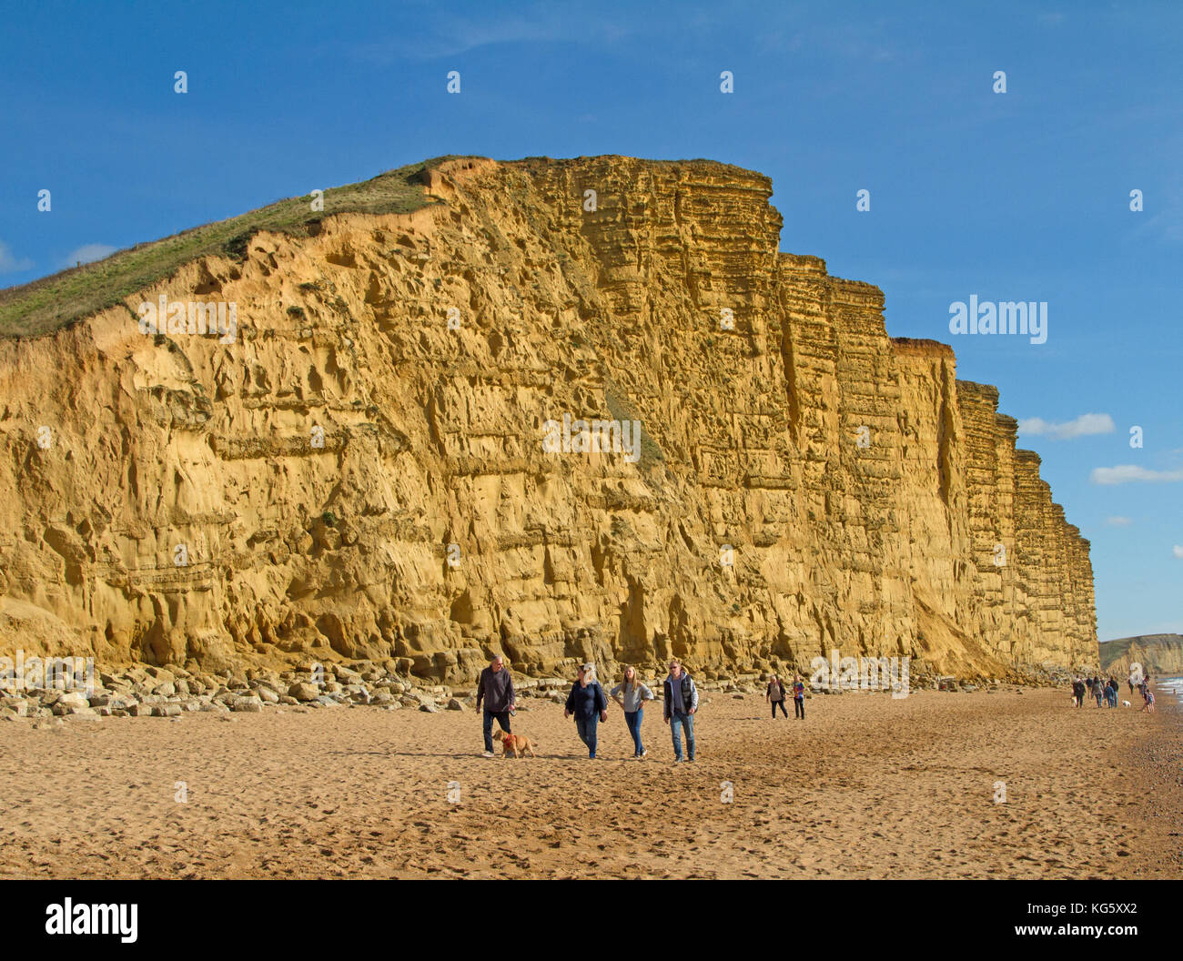 Falaises de grès du West Bay, Dorset, UK Banque D'Images