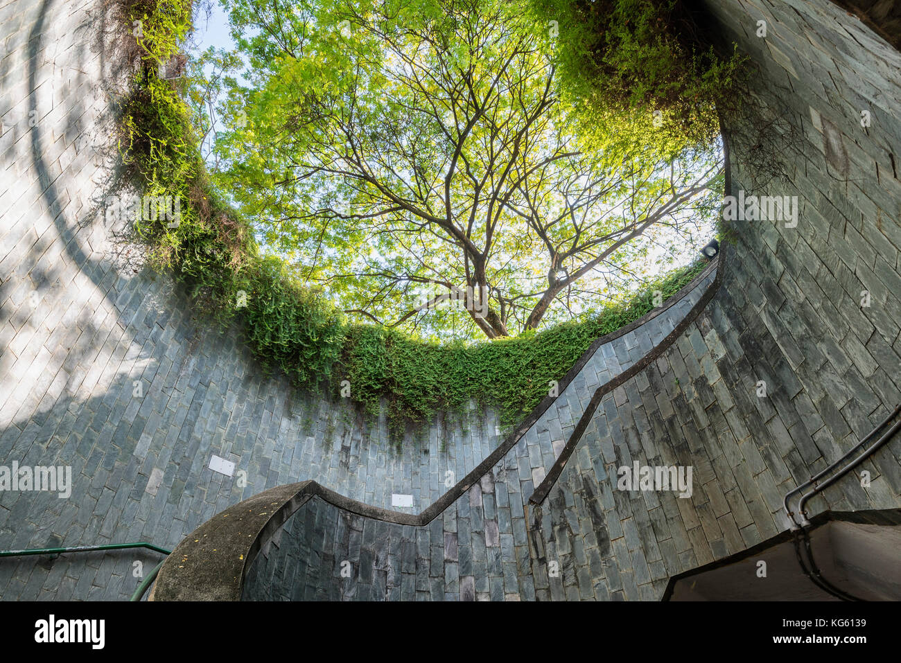 Belle nature au passage souterrain à Fort Canning Park, Singapore Banque D'Images