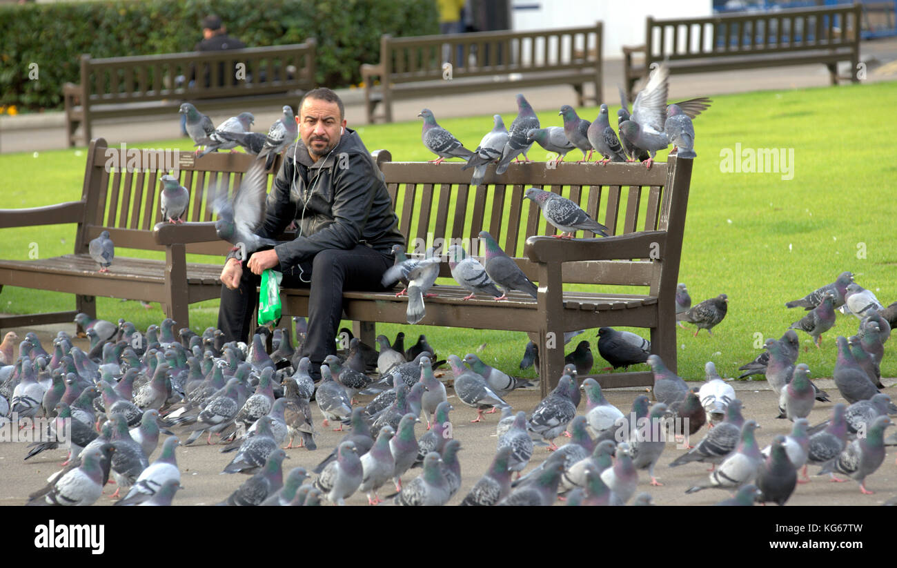Étranger assis sur le banc nourrissant les pigeons George Square, Glasgow, Glasgow City, Royaume-Uni Banque D'Images
