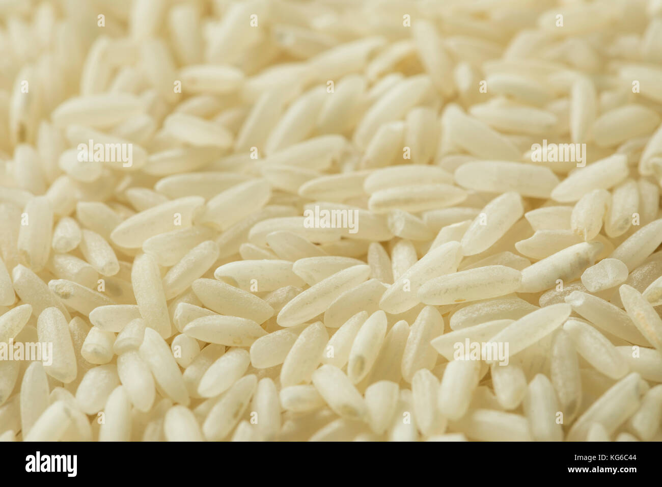 Matière sèche organique riz blanc long grains dans un bol Banque D'Images