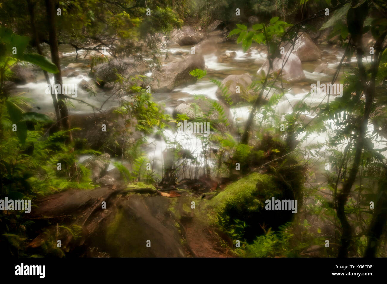 Rage bolder éparpillés de la rivière Mossman Gorge, forestiers, de l'Australie Banque D'Images