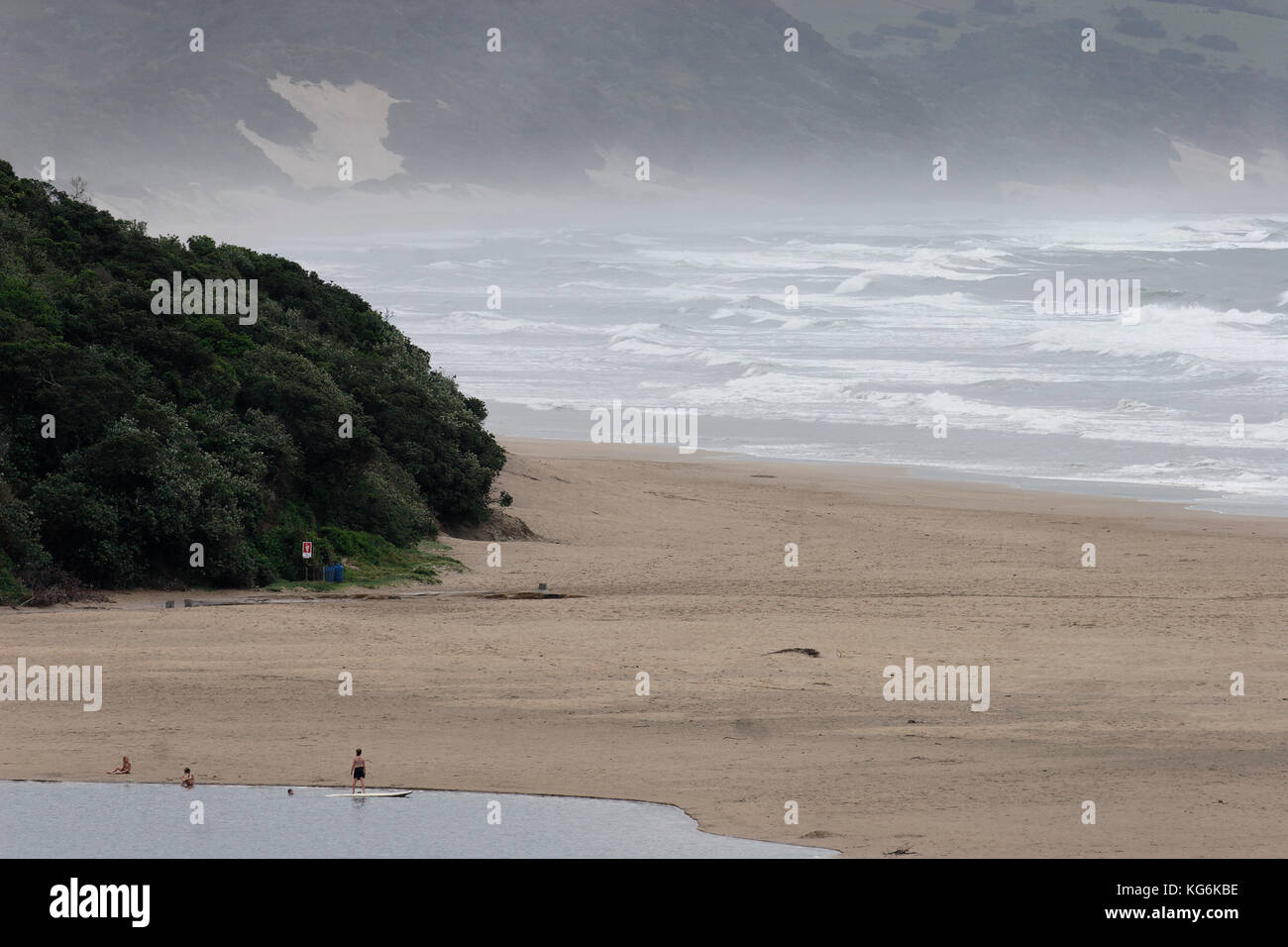 Dunes de sable côtières et de la plage de la côte d'Afrique du Sud, près de Port Elizabeth Banque D'Images