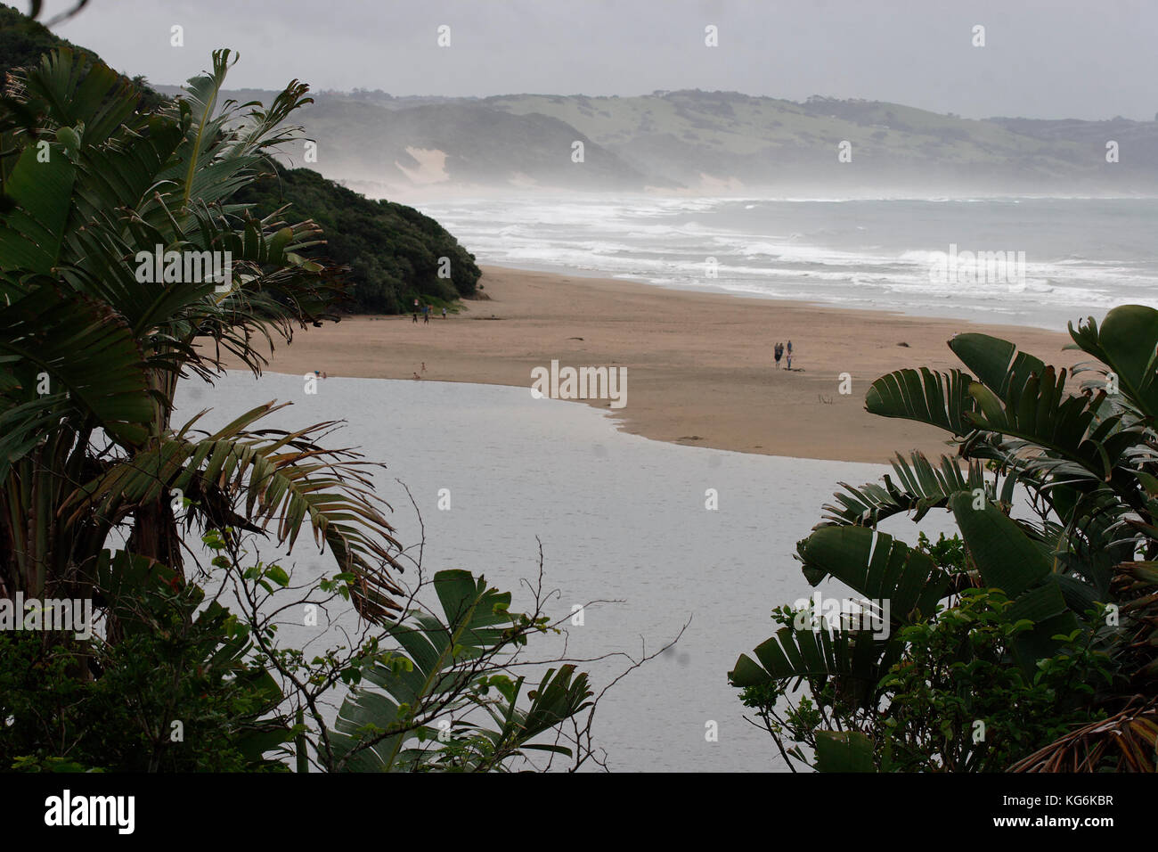 Dunes de sable côtières en Côte d'Afrique du Sud Banque D'Images