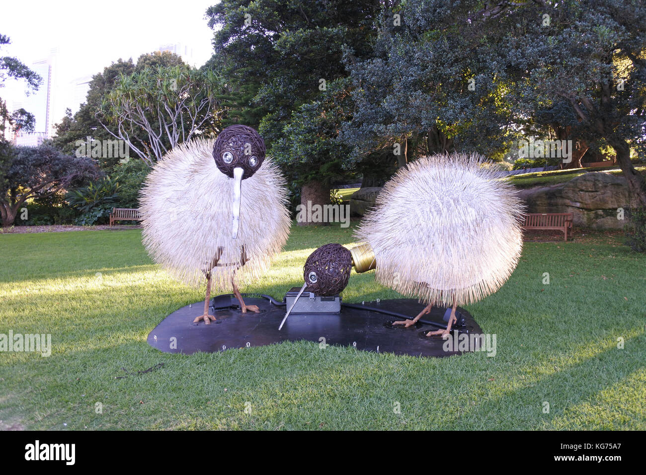 Les oiseaux de l'iris , partie de la vive lumière 2017 Sydney Banque D'Images