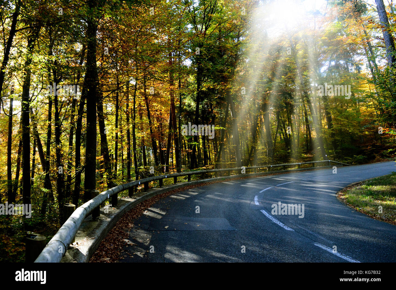 Bois d'automne, la forêt et les arbres à l'automne, les rayons du soleil et la route en montagne, Savoie, France Banque D'Images