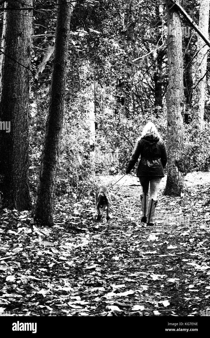 Dame marcher dans les bois avec son chien par son côté mans bestbest ami Banque D'Images