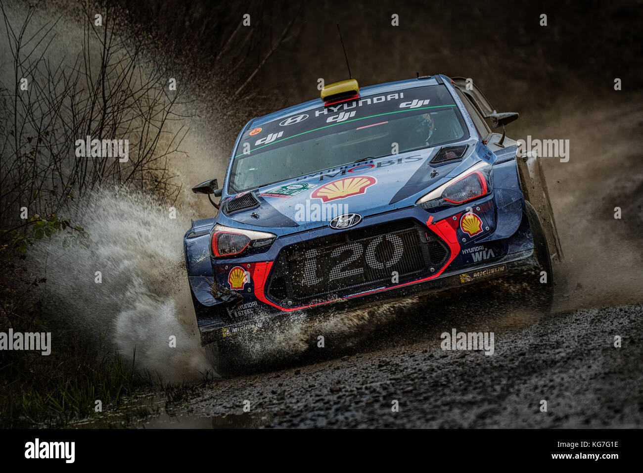 Andreas Mikkelsen le rallye en WRC World Rally Championship jour assurer Wales Rally GB 2017 Banque D'Images