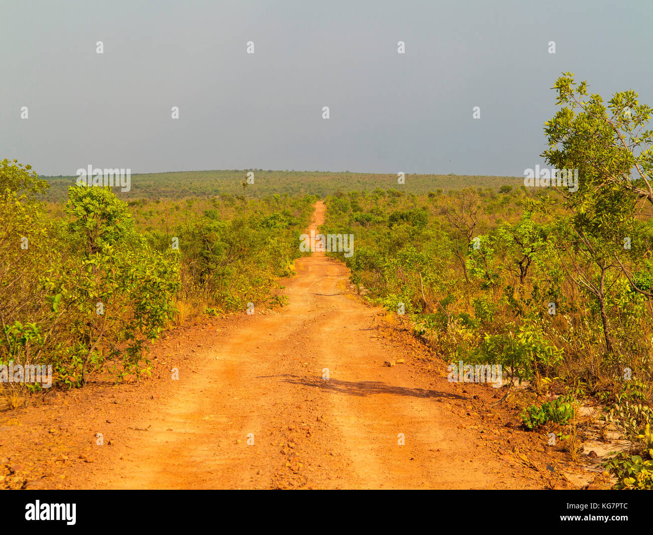 Route de gravier traversant une région éloignée dans Tocantins estate, Brésil Banque D'Images