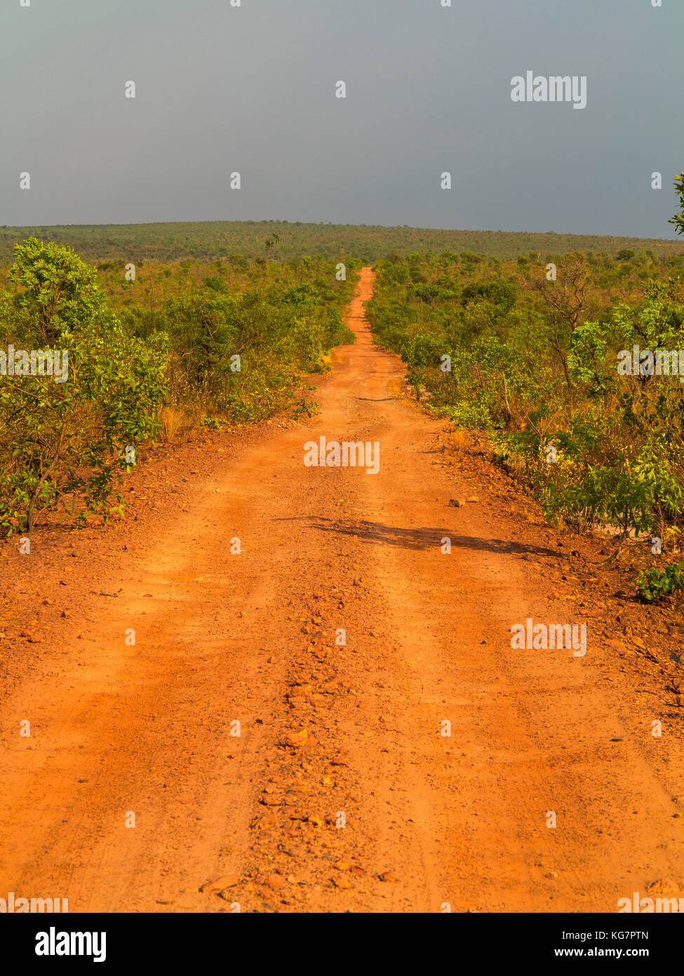 Route de gravier traversant une région éloignée dans Tocantins estate, Brésil Banque D'Images