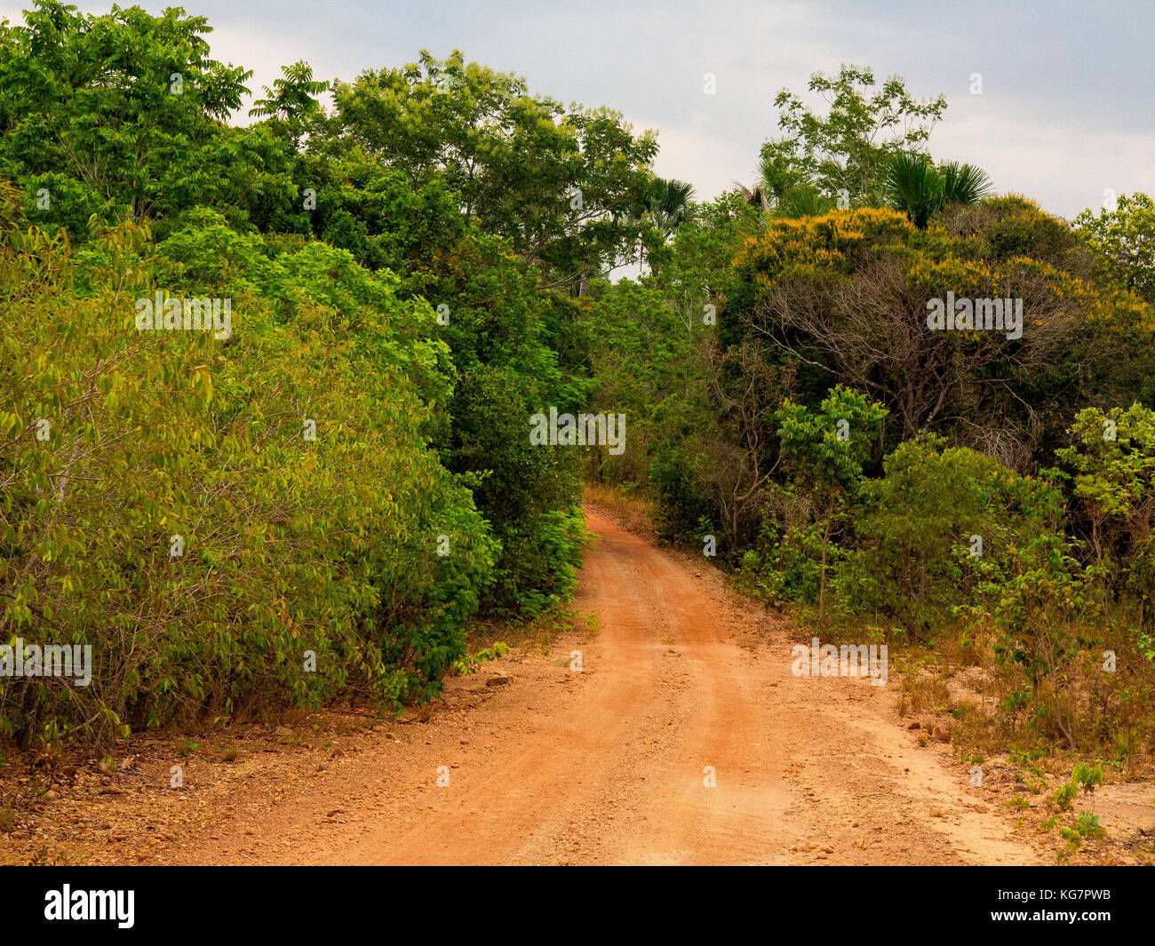 Route de gravier traversant une région éloignée dans Tocantins estate, Brésil Banque D'Images