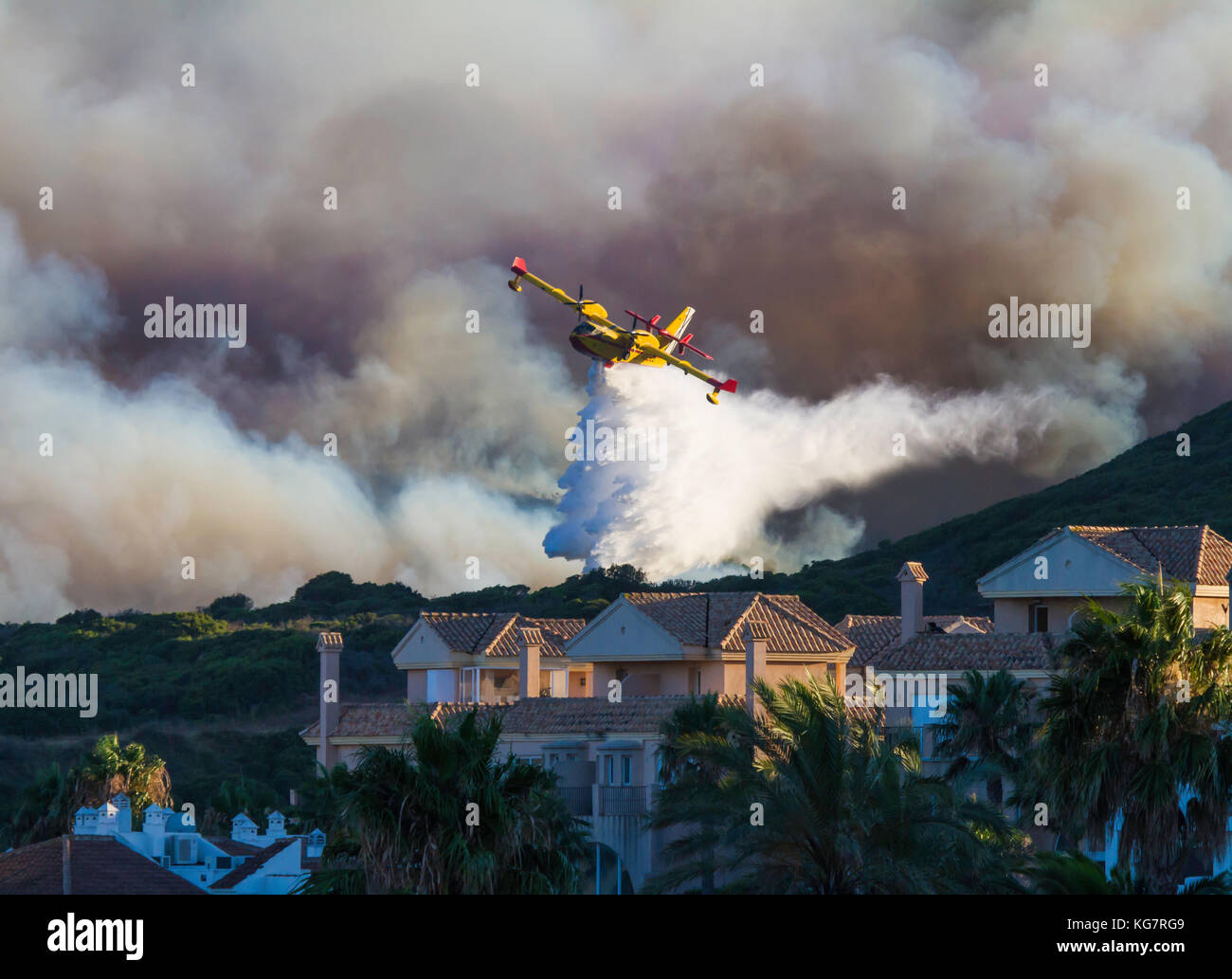 Maisons de forêt près de Banque D'Images